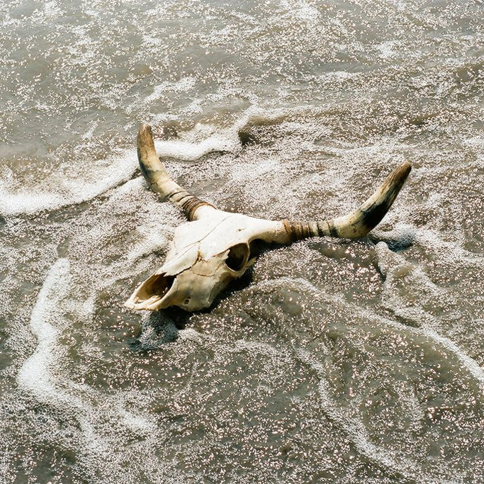 Summer Jams 2017