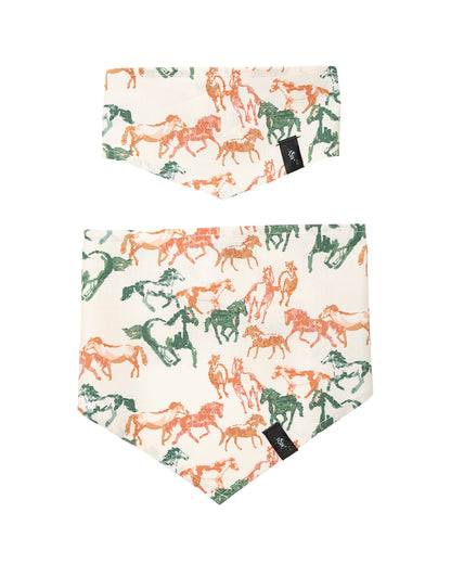 Dog Bandana | Band of Horses