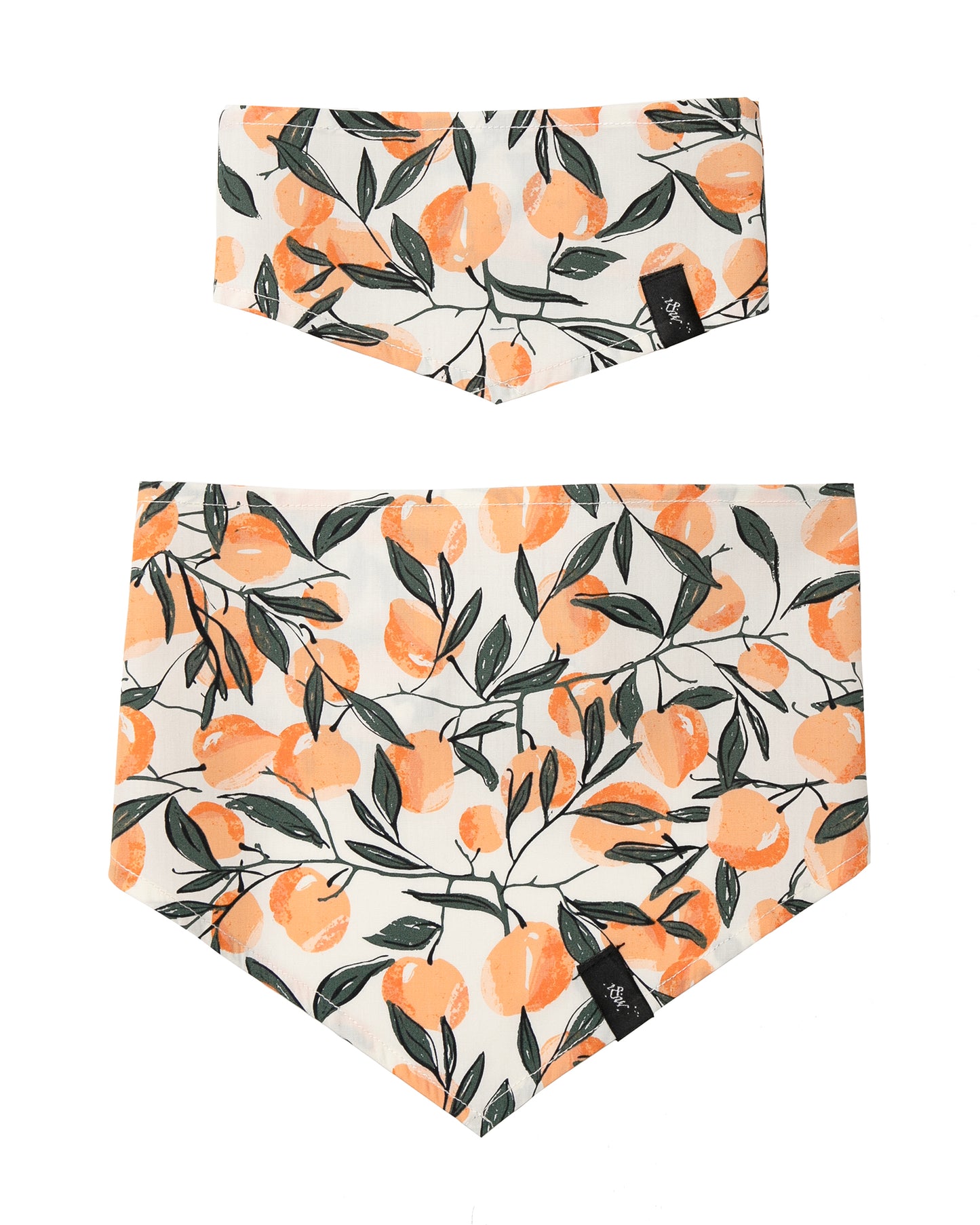 Dog Bandana | Peaches