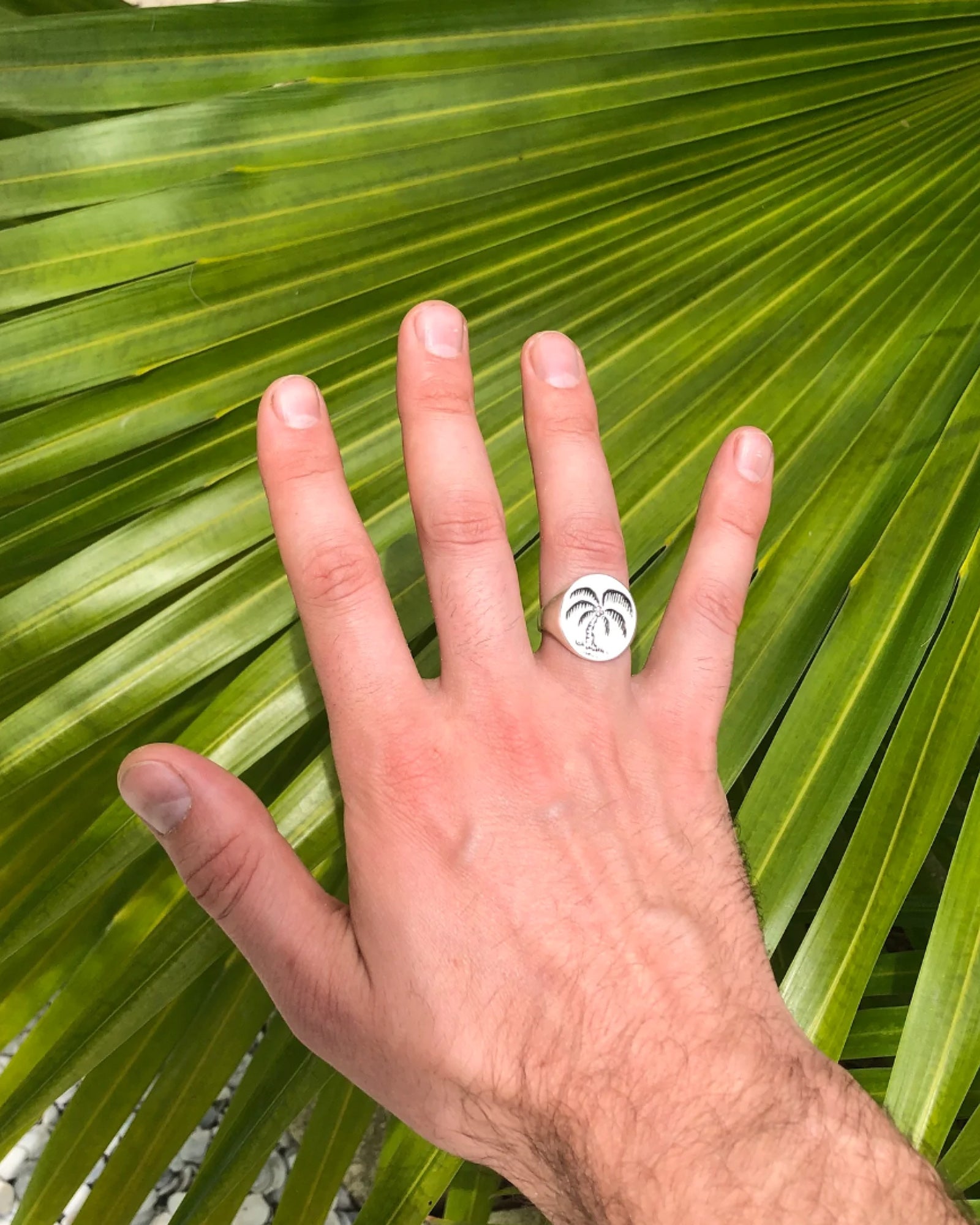 LHN | Palm Tree Signet Ring